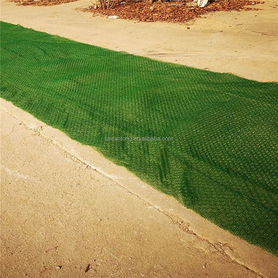 Erosion Control Function 2m Width Em2 Em3 Em4 Em5 3D Geomat for Slope Greening Protection