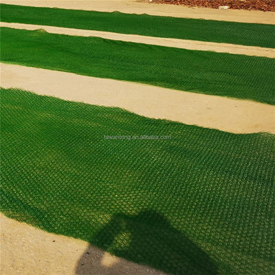 Erosion Control Function 2m Width Em2 Em3 Em4 Em5 3D Geomat for Slope Greening Protection