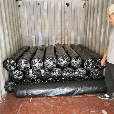 50-50kn Polyester Geogrid/ PET Geogrid for Reinforcing Riverbanks Roadbed Application