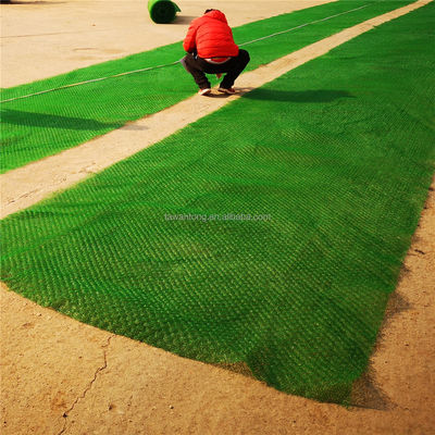 Erosion Control Function 2m Width Em2 Em3 Em4 Em5 3D Geomat for Slope Greening Protection