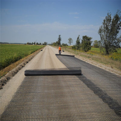 1m Roll Width Asian Design PE Uniaxial Fence Mesh Geogrid for Road Driveway Reinforcement