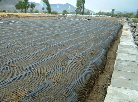 1m Roll Width Asian Design PE Uniaxial Fence Mesh Geogrid for Road Driveway Reinforcement