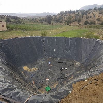 2m-8m Width Agricultural HDPE Geomembrane Fish Farm Pond Liner for High Flexibility