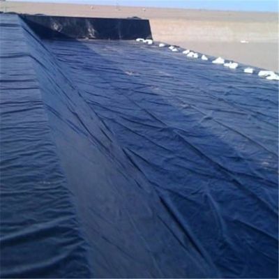 2m-8m Width Agricultural HDPE Geomembrane Fish Farm Pond Liner for High Flexibility