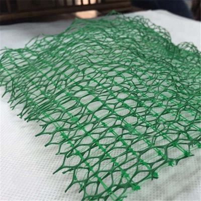 Promote Sustainable Vegetation Protection with 2m Width HDPE Three-Dimensional Geomat
