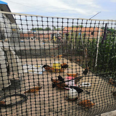 Black Bidirectional Geogrid Plastic Net for Chicken and Duck Enclosure in Warehouse