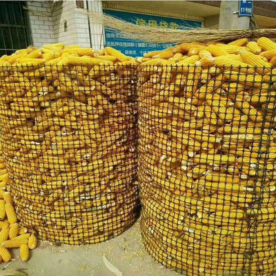 Black Bidirectional Geogrid Plastic Net for Chicken and Duck Enclosure in Warehouse