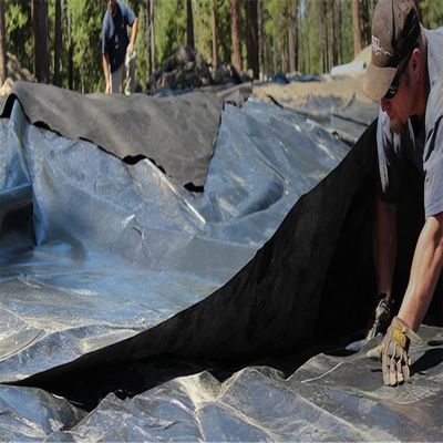 100% Virgin HDPE LLDPE Raw Material Wantong 0.5mm Geomembrane for Landfill Pond Liner