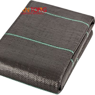 Design Style Green Line Black Plastic PP Woven Geotextile Anti Weed Mat for Landscape Custom Length