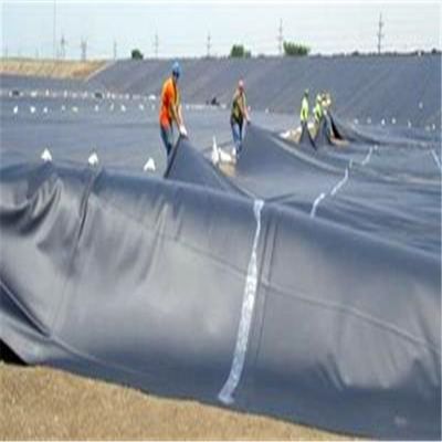 Customized Width HDPE Geomembrane for Landfill and Fish Pond Environmentally Friendly