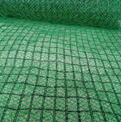 Contemporary Design Plastic 3D Geomat for Erosion Control and Slope Protection Net