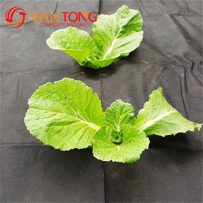 CE Certified 100% PP High Strength Woven Silt Fence Fabric Geotextile for Construction