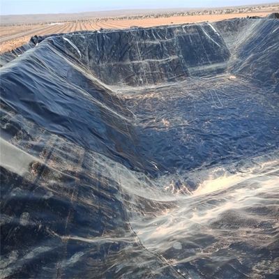 HDPE Geomembrane for Tailing Dam Liners Thickness 0.2-4.0mm GB/ASTM GRI-GM13 Standard