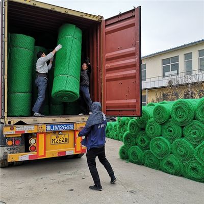 HDPE PP Em3 3D Geomat The Perfect Solution for Customized Slope Protection and Control
