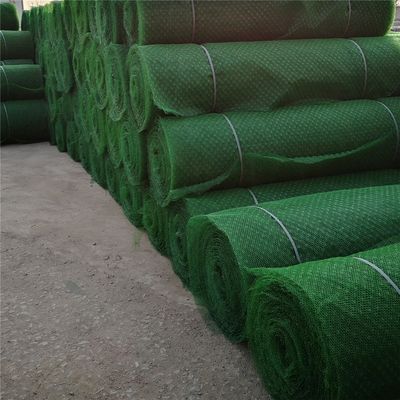 HDPE PP Em3 3D Geomat The Perfect Solution for Customized Slope Protection and Control