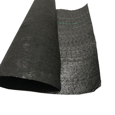 PP High Tensile Strength 70GSM-400GSM Woven Geotextile for Blueberry Garden Weed Control