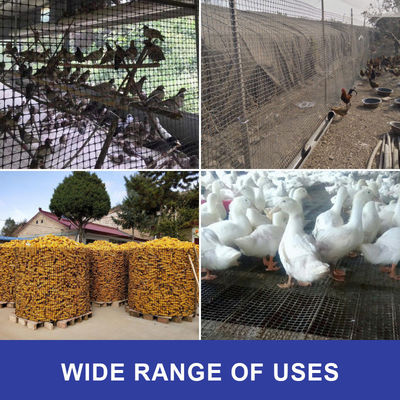 Online Technical Support 20kn/m Biaxial Geogrid Mesh for Kenya Soil Stabilization