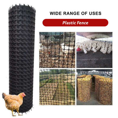 Online Technical Support 20kn/m Biaxial Geogrid Mesh for Kenya Soil Stabilization