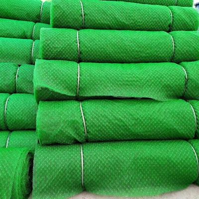 Chinese Design Style Erosion Control Mat 3D Geomat Black Plastic Geomat from Directly
