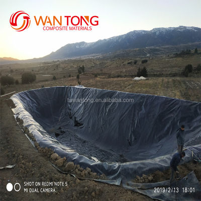 Customized Width Black Waterproof HDPE Geomembrane Liner 1mm for Fish Farming Tank