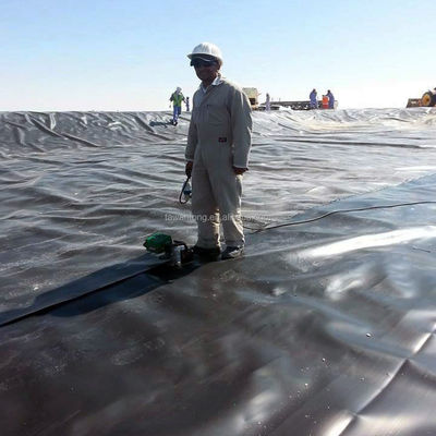 0.2-3.0mm Thickness PVC LLDPE HDPE Geomembrane for Chinese Design Style Vertical Wall