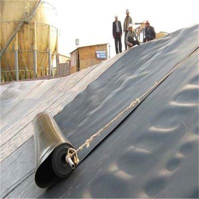 HDPE Geomembrane for Dam Liner Thickness 0.2-4mm Water-Proof Plastic LDPE/LLDPE/PVC