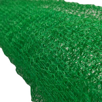Contemporary Design 2m Width Erosion Control Geonet/Geomat with 3D Vegetative Cover