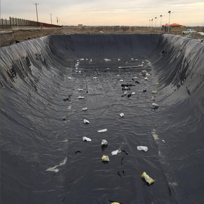 0.75mm 1mm HDPE Fish Shrimp Farming Pond Geomembrane Liner with and Onsite Installation