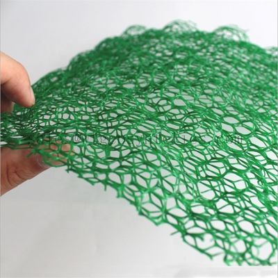 CE/ISO9001/ISO14001 Certified 3D Plastic Drainage Geomat Customized for Erosion Control