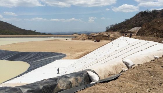 Professional Gcl Geosynthetic Clay Liner for Landfill Dam Lake Mining Project