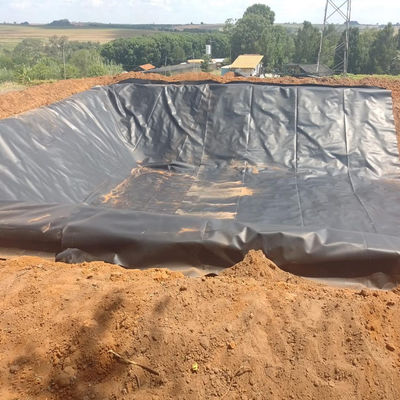 GB/ASTM GRI-GM13 Standard 1.0mm Thickness HDPE Geomembrane for Fish Pond Landfill