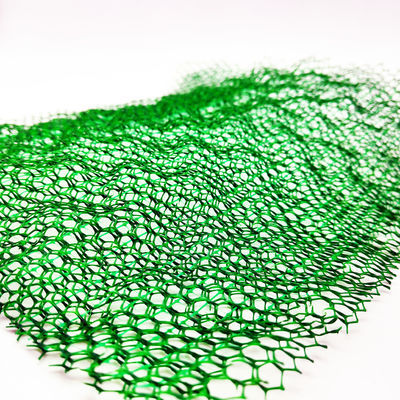 CE/ISO9001/ISO14001 Certified Plastic 3D Vegetation Net Grass Paver Geonet for Slope Protection