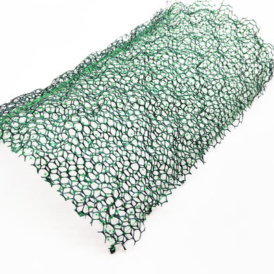 CE/ISO9001/ISO14001 Certified Plastic 3D Vegetation Net Grass Paver Geonet for Slope Protection