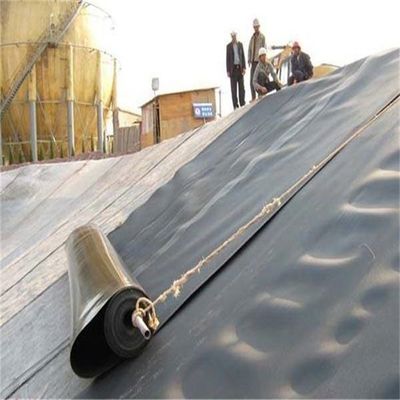 Geomembranes for HDPE PVC 0.75mm Dam Pond Liner and Chinese Design Style Landfill