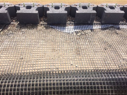 Fiberglass Geogrid for Chinese Design Style Asphalt Reinforcement Onsite Installation