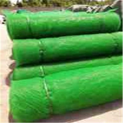 3D Geomat Em3 Customized Solution for Slope Protection Soil Consolidation and Planting