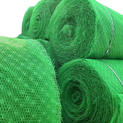 Chinese Design 3D HDPE Geomat Erosion Control Mat for Slope Protection Em2 Em3 Em4 Em5