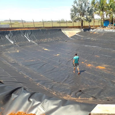0.75mm Blue HDPE Geomembrane for Shrimp Pond and Fish Farming at Affordable Cost