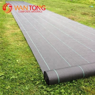 Extruding PP Woven Membrane PE Ground Cover Weed Mat for Anti Grass Weed Control
