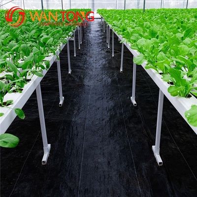 Polypropylene 90g Anti-Grass Agro Textile Weed Control Mat for Farming Applications