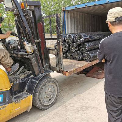 Fiberglass Mesh Grid Glass Fiber Geogrid for Soft Soil Road Strengthening in Black