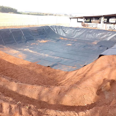 Shandong HDPE Geomembrane 0.5mm for Pond Liner Fish Farms Pound Pool Landfill