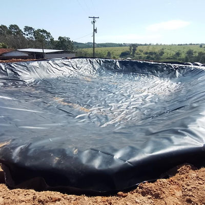 Contemporary Farmhouse 0.5mm HDPE Geomembrane Liner Sheet for Fish Farming Pond Liner