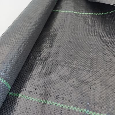 40gsm-230gsm Agriculture PP Ground Cover Fabric for Weed Control in Strawberry Garden