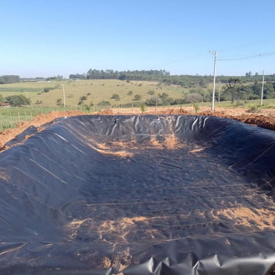 GB/ASTM GRI-GM13 Standard 0.5mm Geomembrane Fish Tank Liner in Contemporary Design