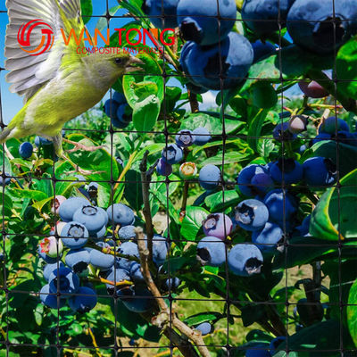 PP/HDPE Plastic Net Garden Mesh Keep Your Vegetables Safe and Sound with HDPE PP