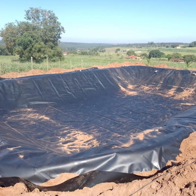 Shrimp Fish Farming Tank HDPE Geomembrane with 2m-8m Width and 100% Virgin Material