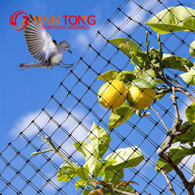 Customized Color HDPE PP Plastic Extruded Anti-Bird Netting with 2cm Mesh