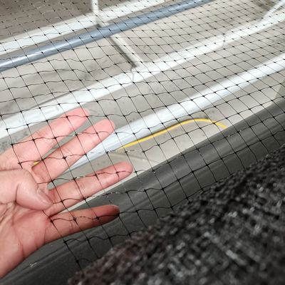 12gsm PP Plastic Net Mesh for Chicken Anti-Bird Netting in Garden Orchard and Vineyard