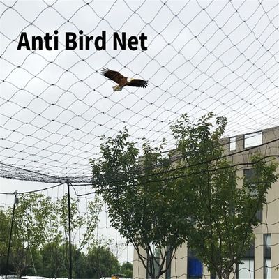 Anti-bird Netting Mesh for Chicken in Garden Orchard Vineyard BOP PP Plastic 2cm Mesh